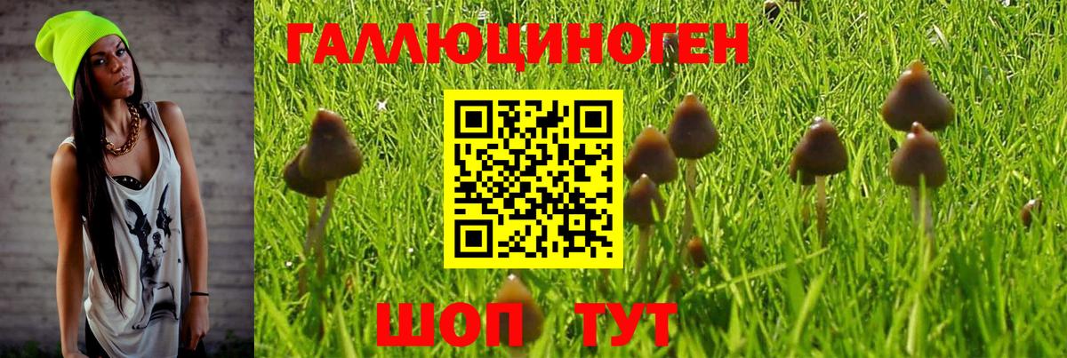 Псилоцибиновые грибы ЛСД Шадринск